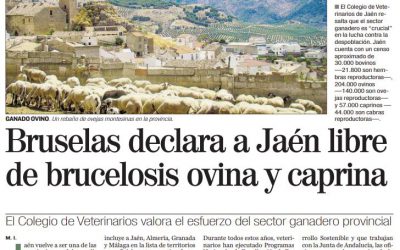 El Colegio de Jaén publica un artículo en prensa por ser considerada Jaén, región libre de Brucelosis