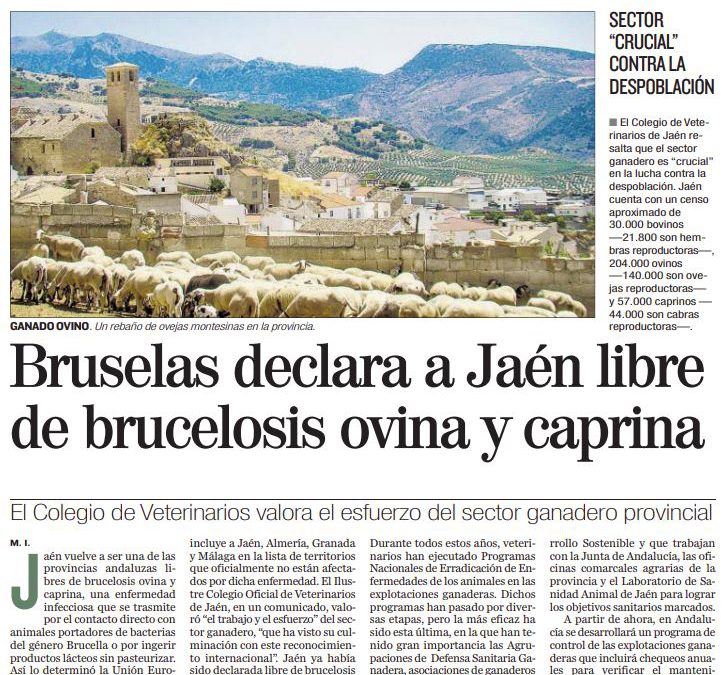 El Colegio de Jaén publica un artículo en prensa por ser considerada Jaén, región libre de Brucelosis