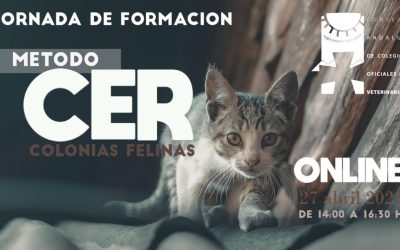 Jornada online: “La aplicación del método CER en colonias felinas de Córdoba”