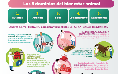 BIENESTAR EN ANIMALES DE PRODUCCIÓN