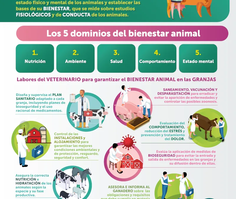 BIENESTAR EN ANIMALES DE PRODUCCIÓN