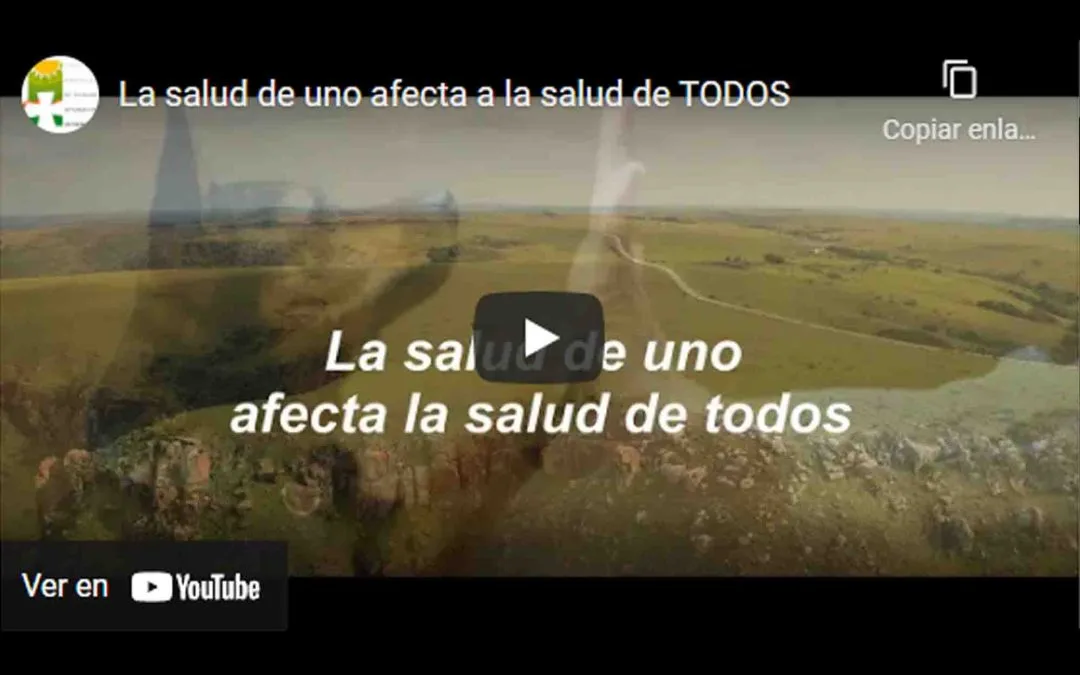 Campaña: “La salud de uno afecta a la salud de todos”