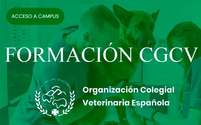 Especialización Veterinaria OCV