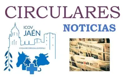 CIRCULAR 04/2026. NUEVO DOCUMENTO DE IDENTIFICACIÓN EQUINA