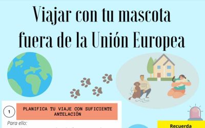 VIAJAR CON TU MASCOTA FUERA DE EUROPA