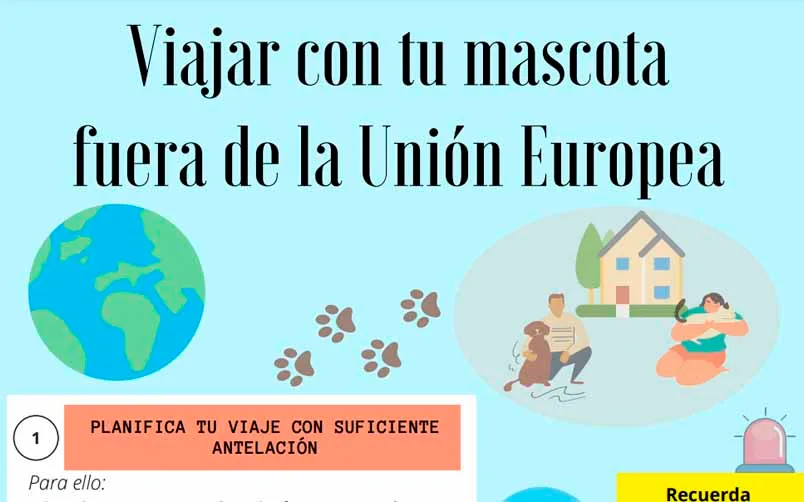 VIAJAR CON TU MASCOTA FUERA DE EUROPA