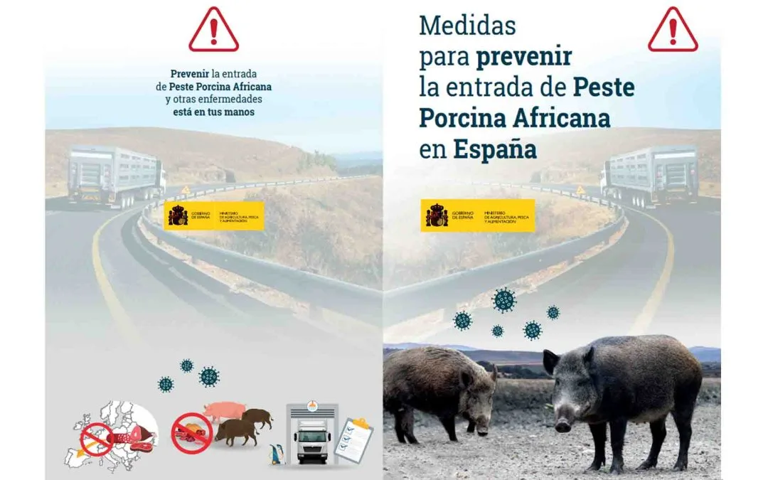 Foco de Peste Porcina Africana en Italia