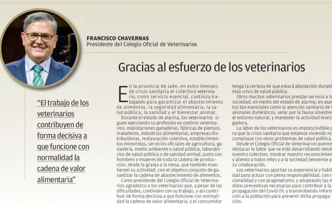 Especial “Tú Resistes, Jaén Resiste” del diario Viva Jaén.