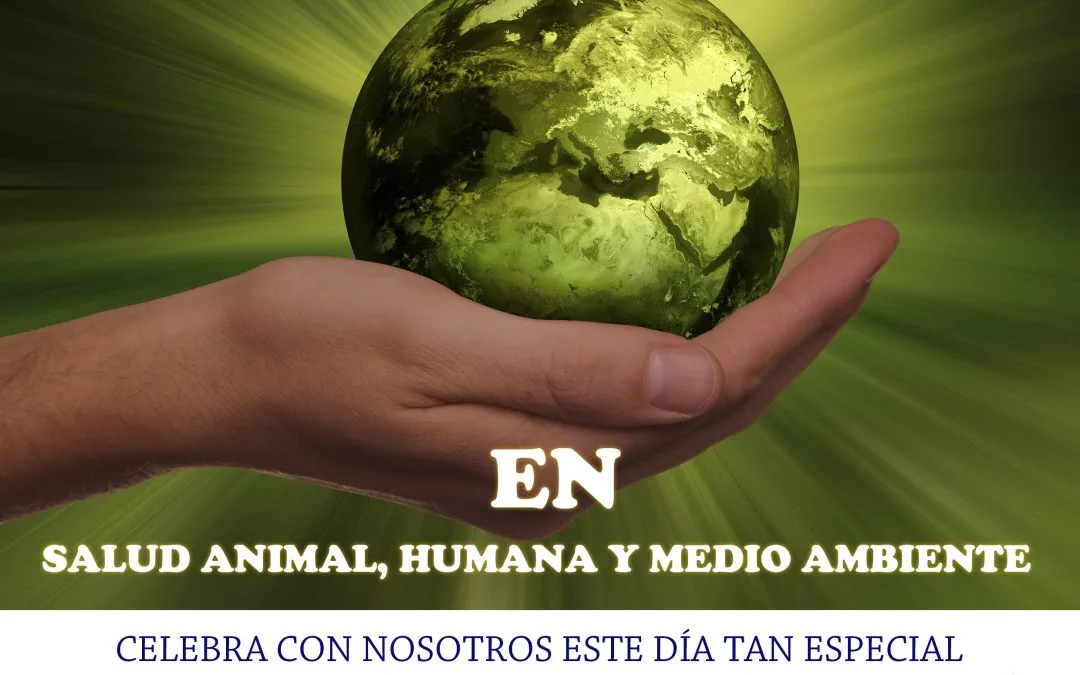 Campaña Día Mundial de la Veterinaria