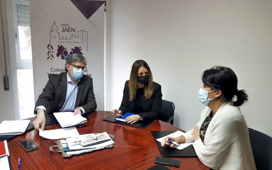 REUNIÓN ICOV JAÉN Y AYTO JAÉN – REGISTRO MUNICIPAL Y CONVENIO CER