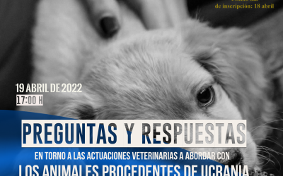 Webseminar: ‘Preguntas y respuestas en torno a las actuaciones veterinarias a abordar con los animales procedentes de Ucrania’