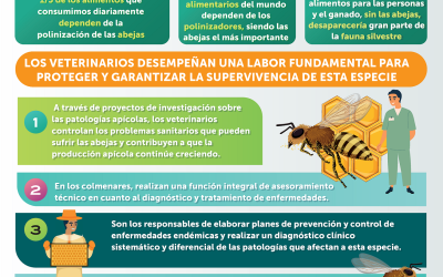 Infografía: “20 de mayo. Día mundial de las abejas”