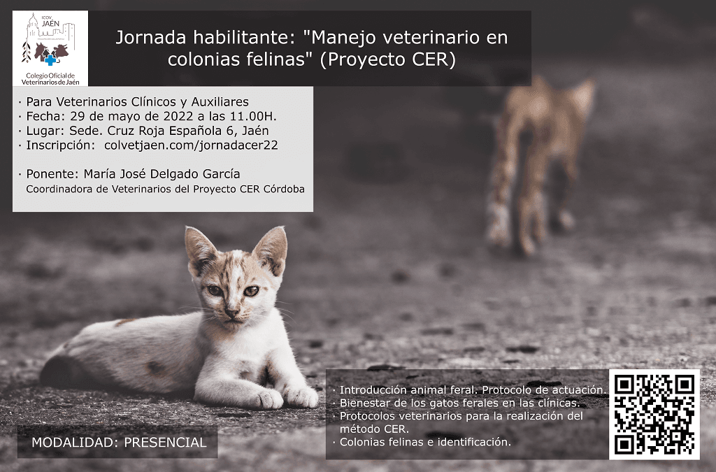 Jornada habilitante: “Manejo veterinario en colonias felinas” (Proyecto CER)