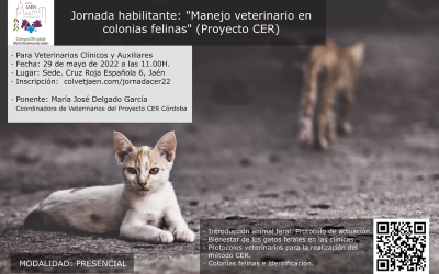 Jornada habilitante: “Manejo veterinario en colonias felinas” (Proyecto CER)