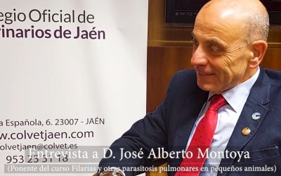 Entrevista a José Alberto Montoya (Ponente jornada filarias)