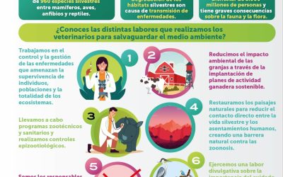 Infografía: Día Mundial del Medio Ambiente