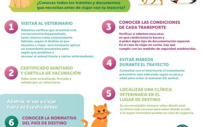 Infografía: “Viajar con mascotas”