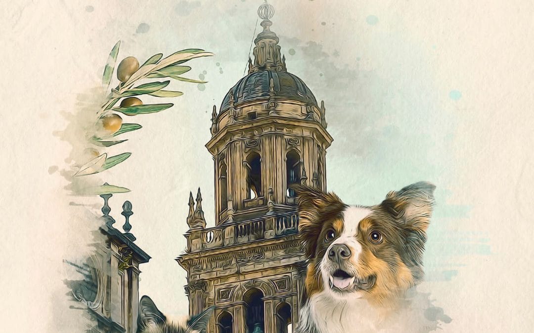 XVII CONGRESO ANDALUZ DE VETERINARIOS