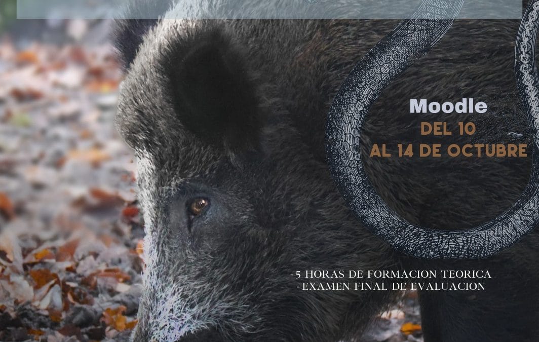 Jornada habilitante: “Control Sanitario de carne de caza con destino humano y reconocimiento de cerdos sacrificados en matanzas domiciliarias”