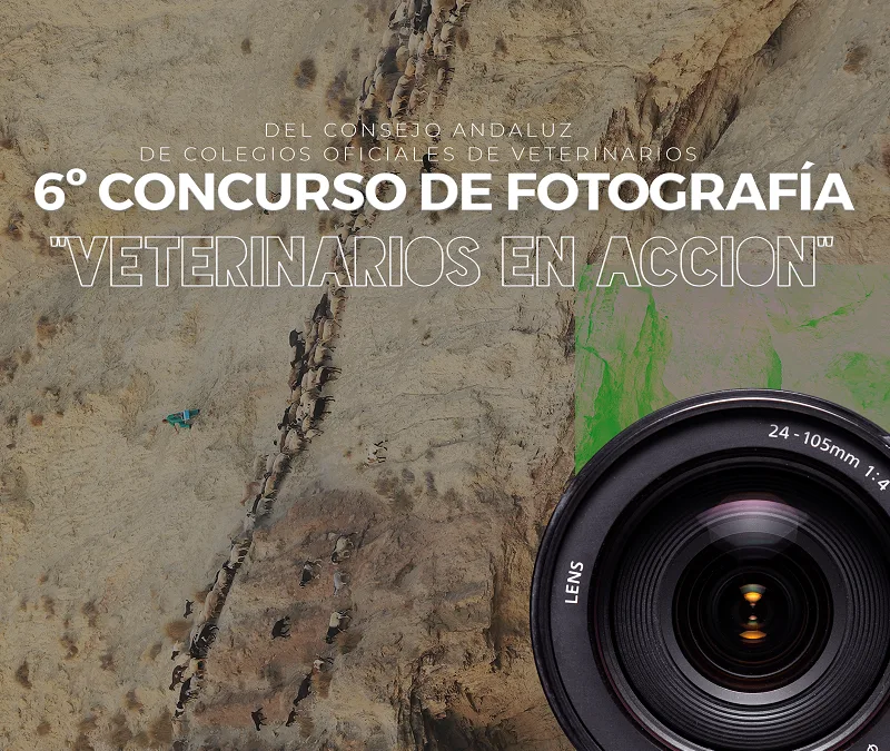 6º CONCURSO DE FOTOGRAFÍA: VETERINARIOS EN ACCIÓN