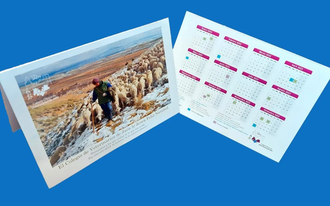 V CONCURSO DE FOTOGRAFÍA “FELICITACIÓN NAVIDEÑA”