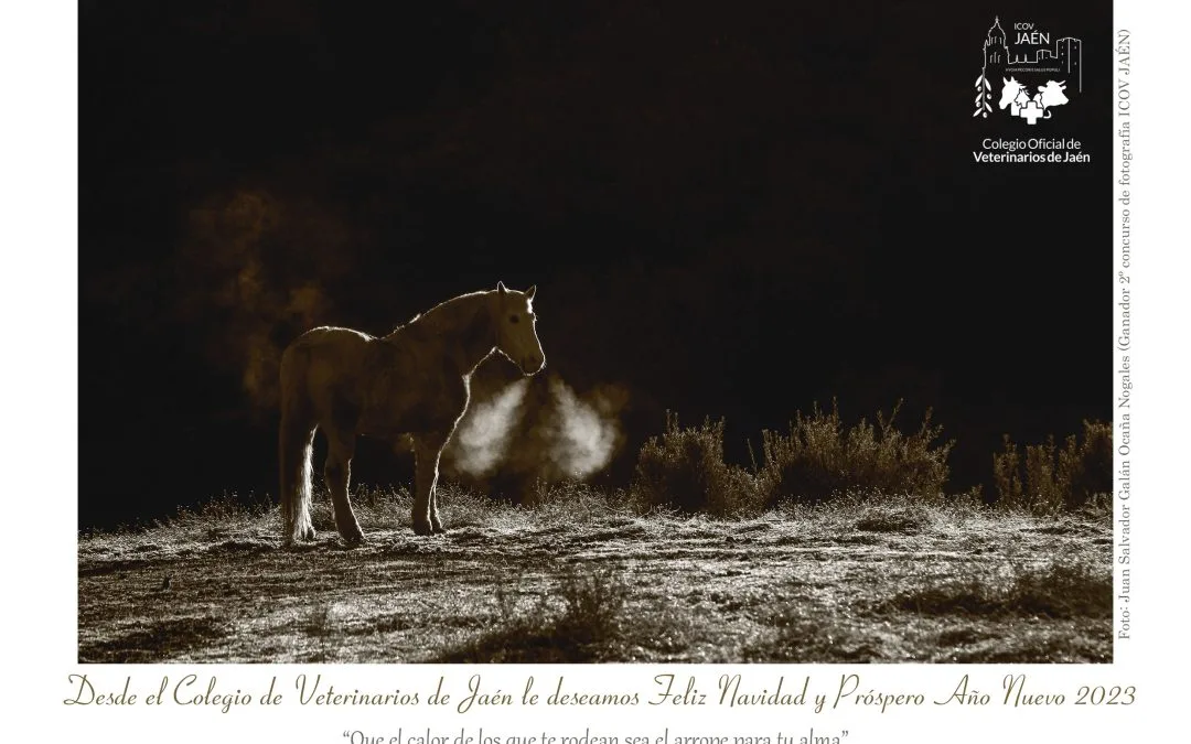 Fallo de la II edición del concurso de fotografía navideña del Colegio Oficial de Veterinarios de Jaén.