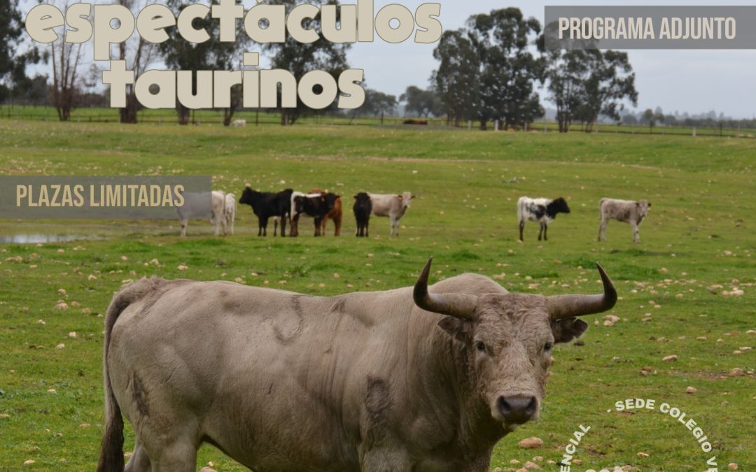 Curso avanzado de Especialización Veterinaria en Espectáculos Taurinos