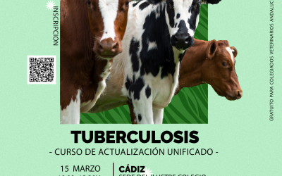 Jornada habilitante: “Curso actualización unificado de Tuberculosis”