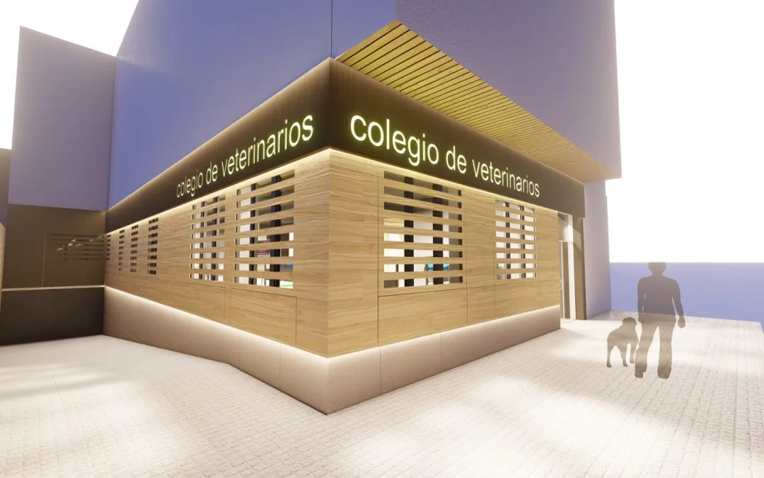 El año de la renovación – DIARIO JAÉN (Suplemento Colegios Profesionales)