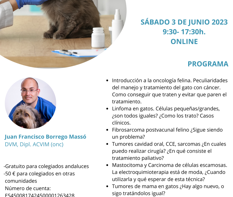 Seminario web: “Oncología felina”
