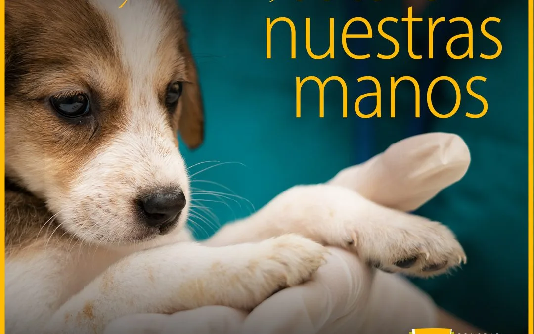 CAMPAÑA: Su salud y la de todos, está en nuestras manos