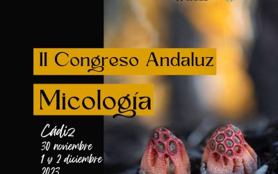 II Congreso Andaluz de Micología (6 becas)