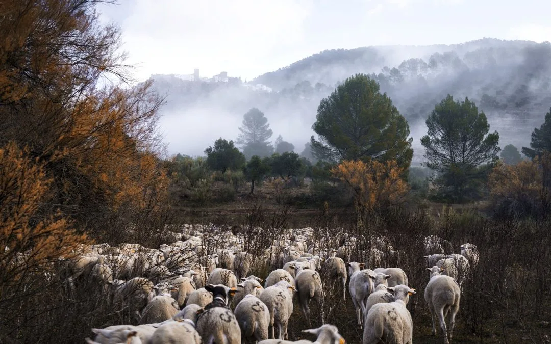 NUESTRA COLEGIADA Y PREMIO ALBÉITAR KATY GÓMEZ, GANADORA DEL PRIMER “PREMIO DE FOTOGRAFÍA SOBRE EL PAISAJE GIENNENSE”
