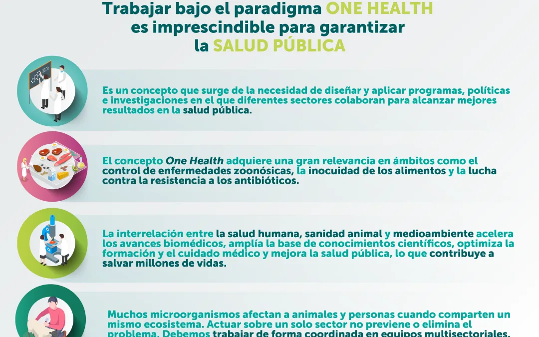 DÍA MUNDIAL ONE HEALTH