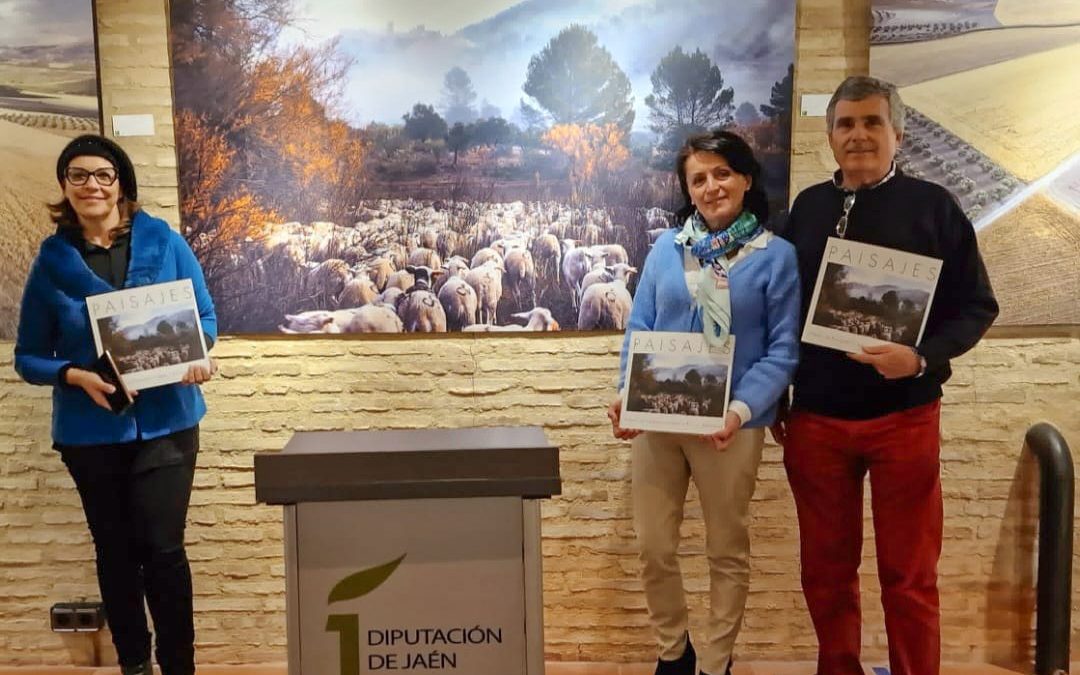 Premio “Paisajes Gienenses” de Katy Gómez, se expone en el Antiguo Hospital San Juan de Dios en Jaén