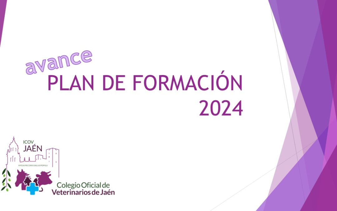 PLAN DE FORMACIÓN 2024