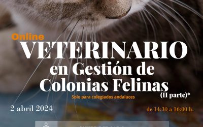 Curso habilitante: “Veterinario en Gestión de Colonias Felinas (II Parte)”
