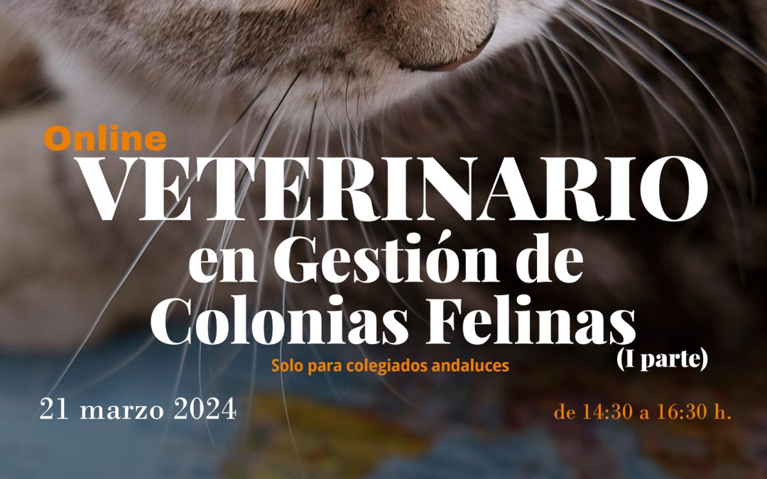 Curso habilitante: “Veterinario en Gestión de Colonias Felinas (I Parte)”