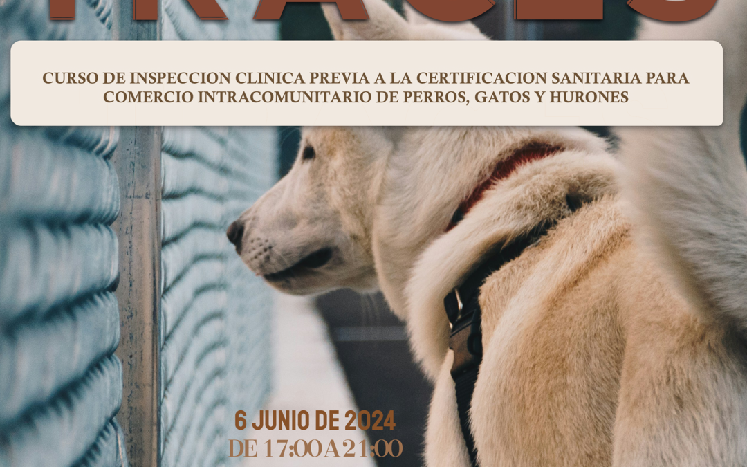 Curso habilitante: “Inspección clínica previa a la certificación sanitaria para comercio intracomunitario de perros, gatos y hurones. TRACES”