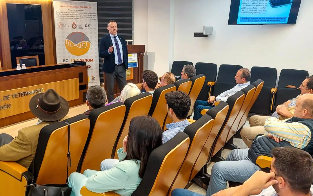 El caballo Pura Raza Española, protagonista en la sede del ICOV Jaén