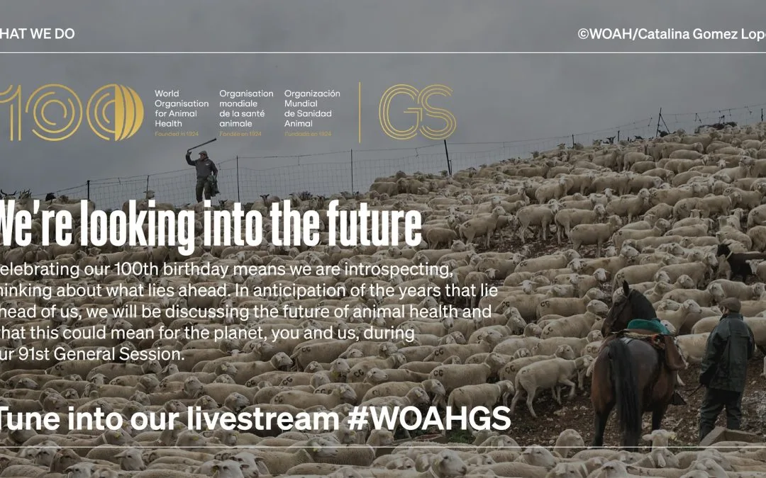 La Organización Mundial de Sanidad Animal ilustra la celebración de su centenario con una fotografía de Katy Gómez