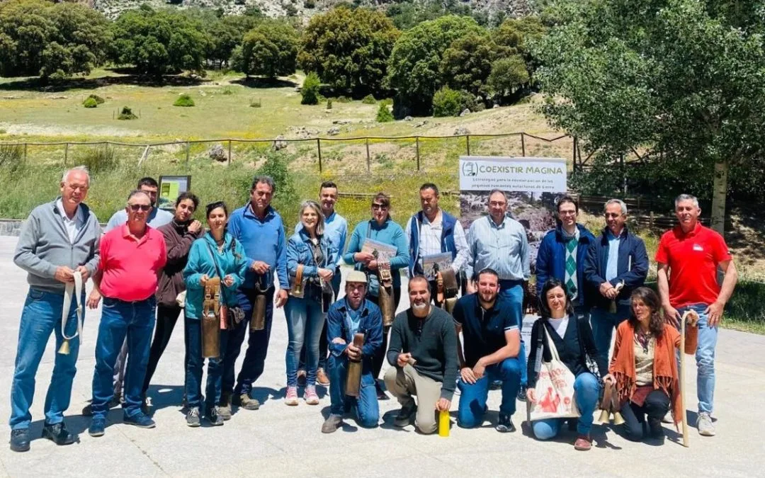 El Encuentro por las razas en extinción de Sierra Mágina, escenario para la protección del caprino ambiental