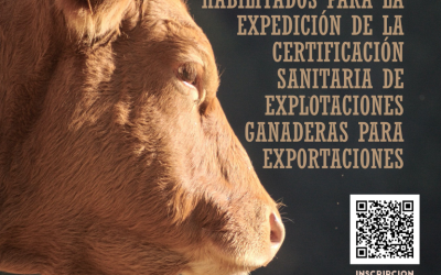 Curso habilitante: “Capacitación para veterinarios habilitados para la expedición de la certificación sanitaria de explotaciones ganaderas para las exportaciones (DVR)”