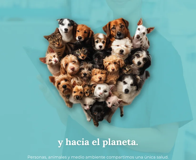 Campaña: “Cuidan a tu mascota, nos cuidan a todos”