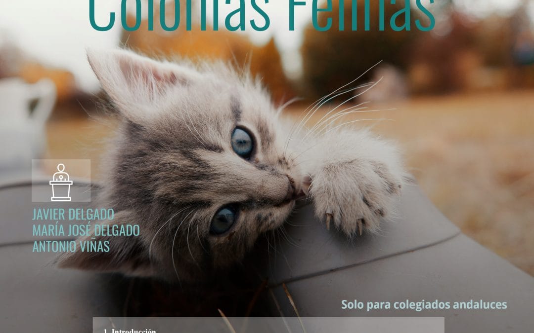 Curso habilitante: “Veterinario en Gestión de Colonias Felinas” (Proyecto CER)