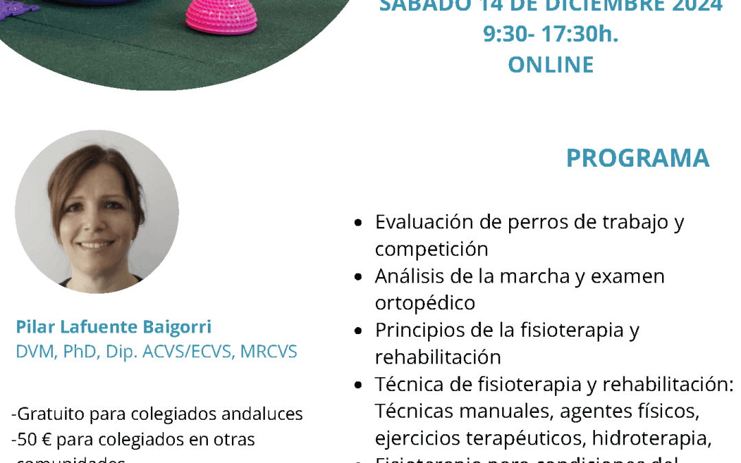 Curso: “Iniciación a la Fisioterapia”