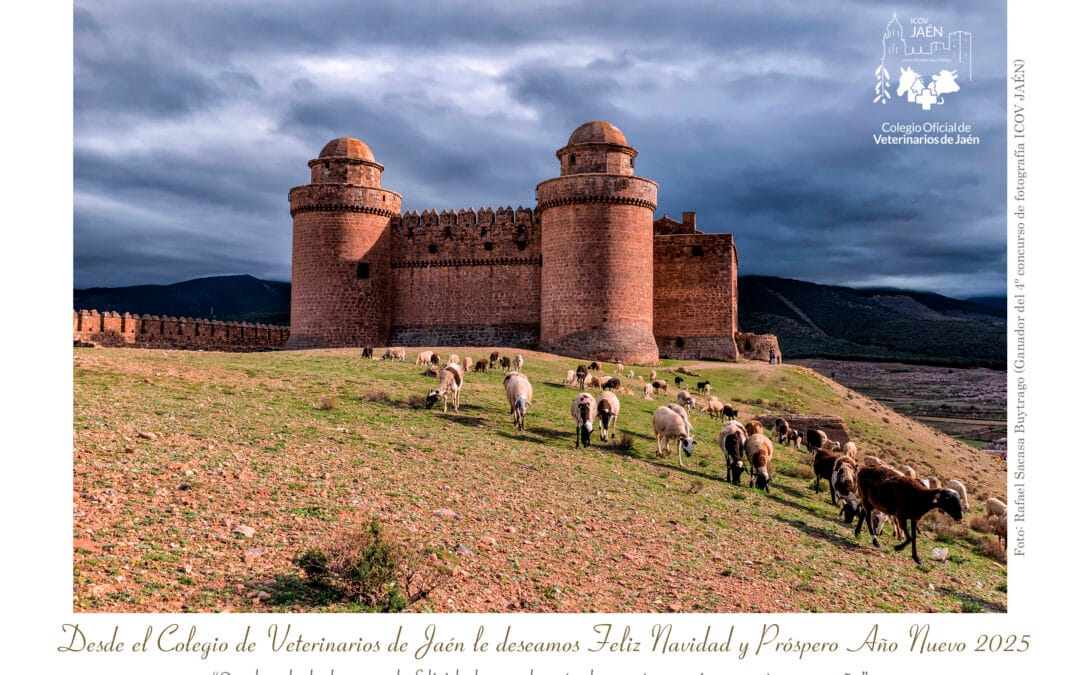 Fallo de la IV edición del concurso de fotografía navideña del Colegio Oficial de Veterinarios de Jaén