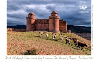 Fallo de la IV edición del concurso de fotografía navideña del Colegio Oficial de Veterinarios de Jaén
