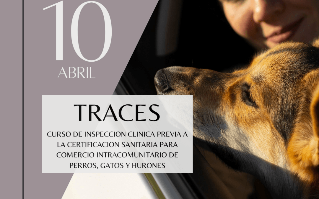 Curso habilitante: “Inspección clínica previa a la certificación sanitaria para comercio intracomunitario de perros, gatos y hurones. TRACES”