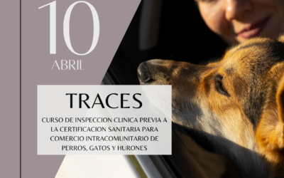 Curso habilitante: “Inspección clínica previa a la certificación sanitaria para comercio intracomunitario de perros, gatos y hurones. TRACES”